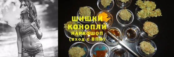 спиды Богородск